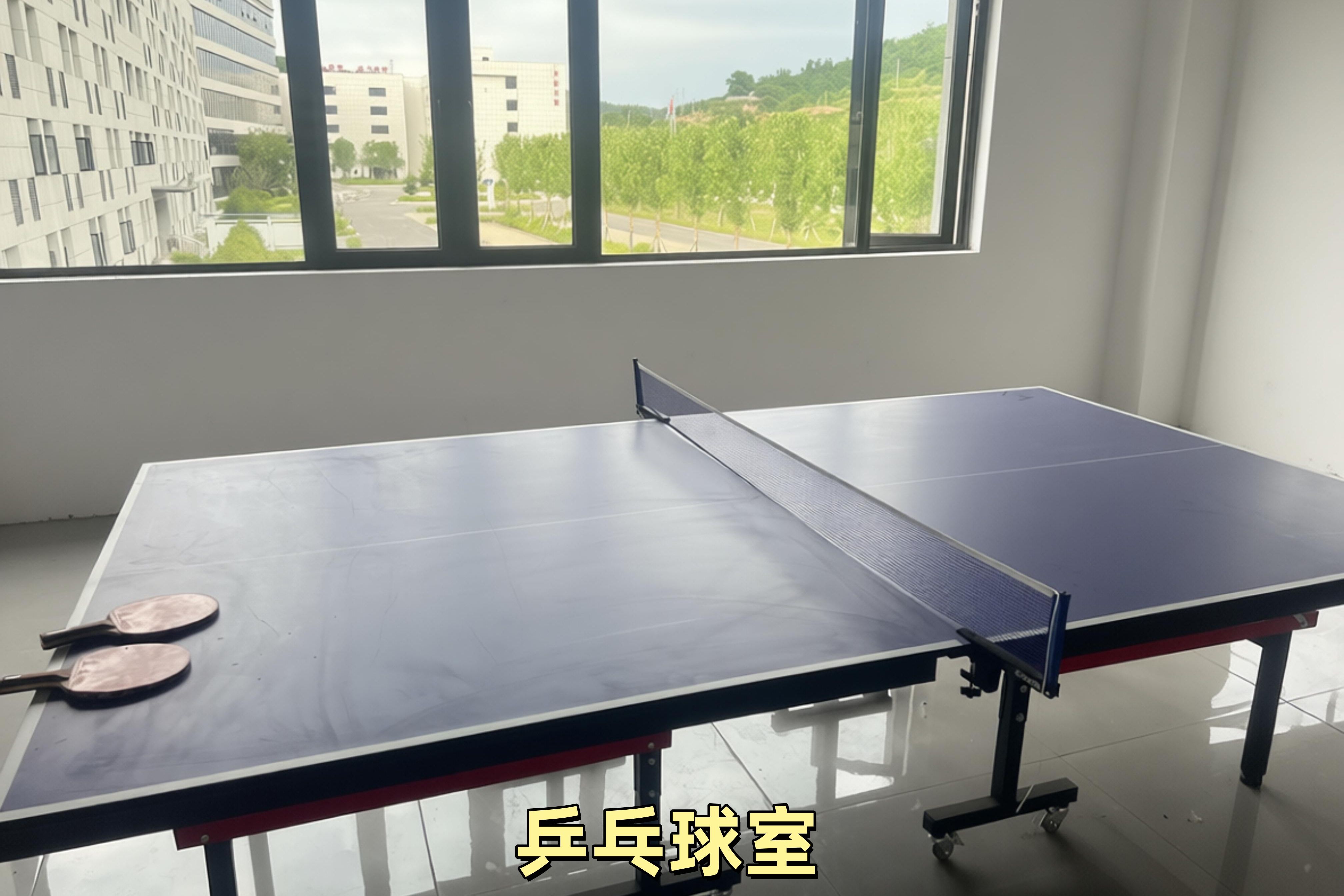 乒乓球室